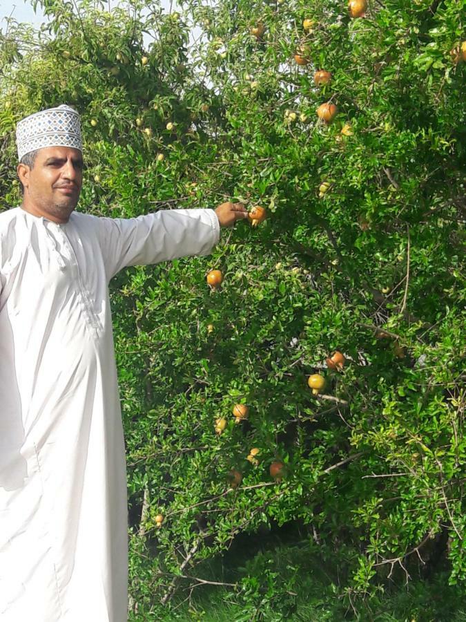 Abu Omair Jabal Shams House Hotell Al Ḩamrāʼ Eksteriør bilde