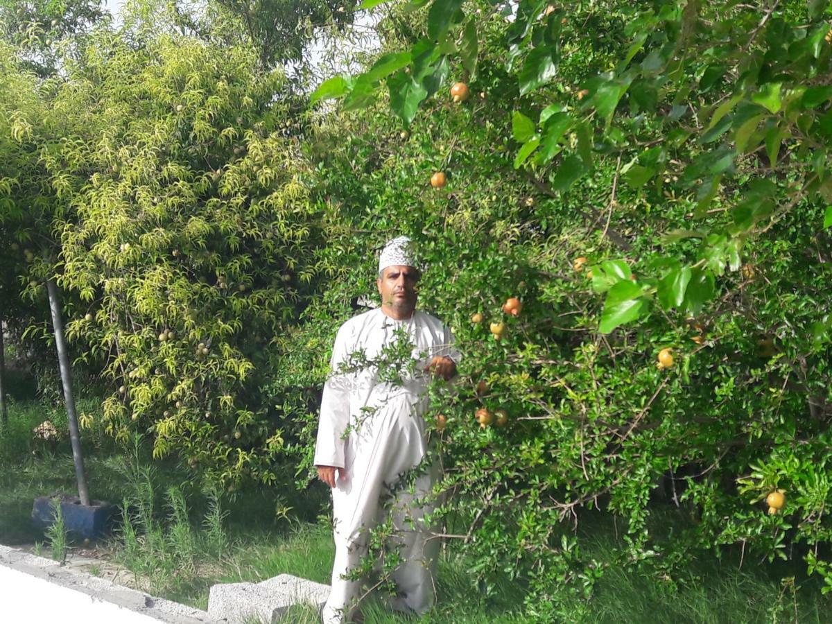 Abu Omair Jabal Shams House Hotell Al Ḩamrāʼ Eksteriør bilde